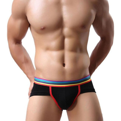 Fashion Briefs Men's Briefs Shorts Soft Modal Underwear Bulge Pouch Underpants 4 Colors Sheer Elastic Briefs