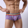 Brand Male Underwear Men New Arrivals Men's Sexy Underpants Low-waist High Fork Pure Cotton Sexy For Man Plus Size
