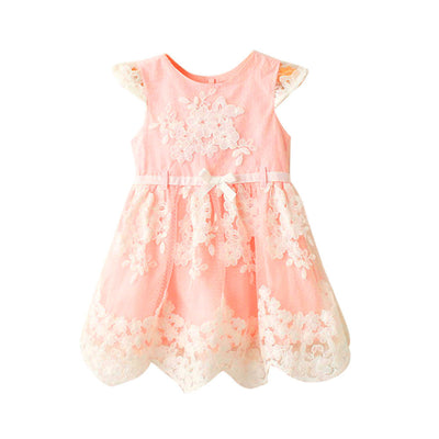 Girls dresses Toddler Kids Baby Girls Clothes Embroidery Lace Party Wedding Princess Dresses drop shipping