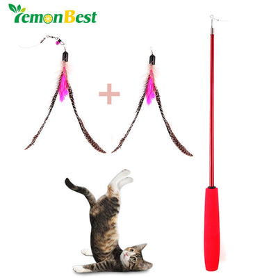 LemonBest Retractable Teaser Cat Catcher Fishing Pole Wand Rod with 2pcs Bird Feather Assorted Feather Toy Great for Kitten Dog