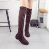 Women Winter Autumn Flat Boots Shoes High Leg Suede Short Long Boots